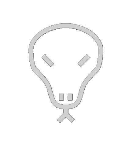 Logo de Gecko Security